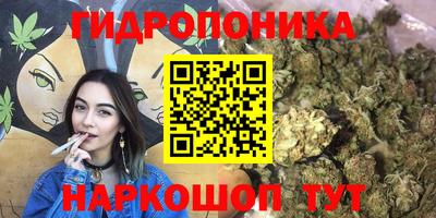 герыч Краснодар