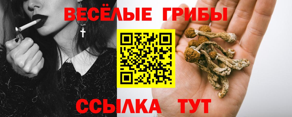 Псилоцибиновые грибы Cubensis  Вход с VPN  закладки  Элиста 