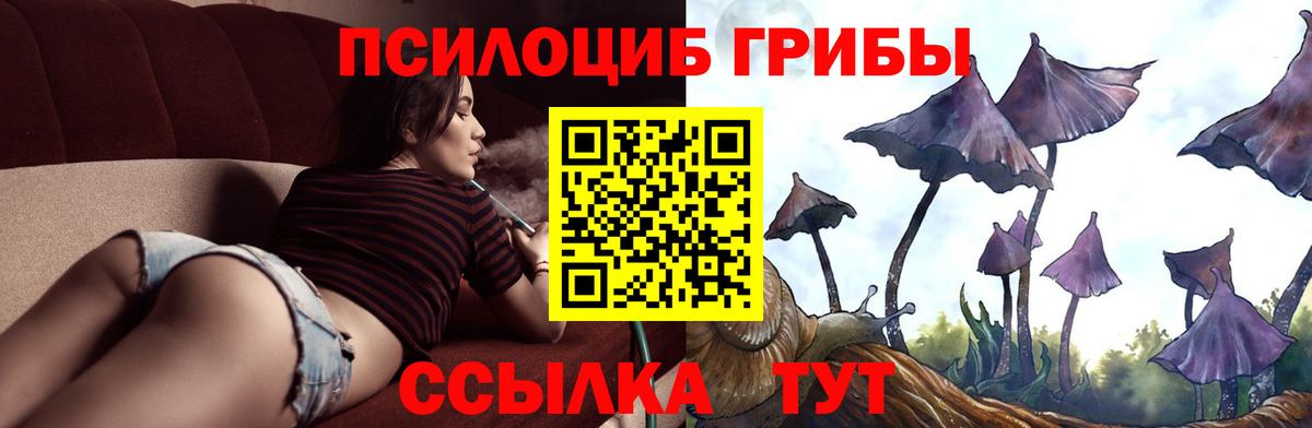 Галлюциногенные грибы Magic Shrooms Элиста