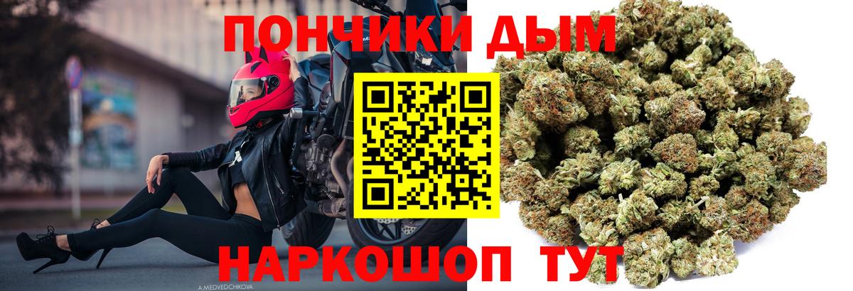 Бошки марихуана SATIVA & INDICA  Бошки Шишки SATIVA & INDICA  Вход с VPN  Бошки Шишки гибрид  Элиста  МАРИХУАНА марихуана 